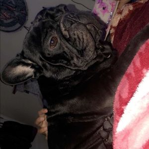 Meet your Posher, Eric